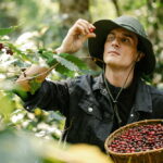 Die Vielfalt der Kaffeepflanzen und Kaffeesorten